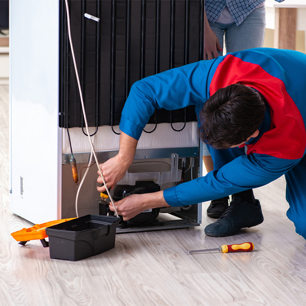 what are the common refrigerator repair services in Thedford